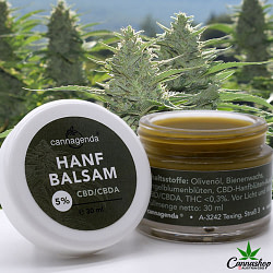 Hanfbalsam 5% CBD